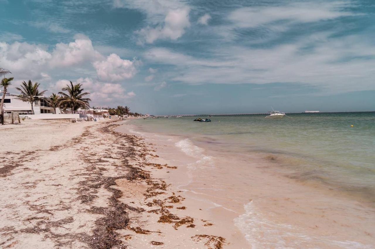 Luxury Condo, The Hidden Gem Playa Chaca. Live It! Progreso  Εξωτερικό φωτογραφία