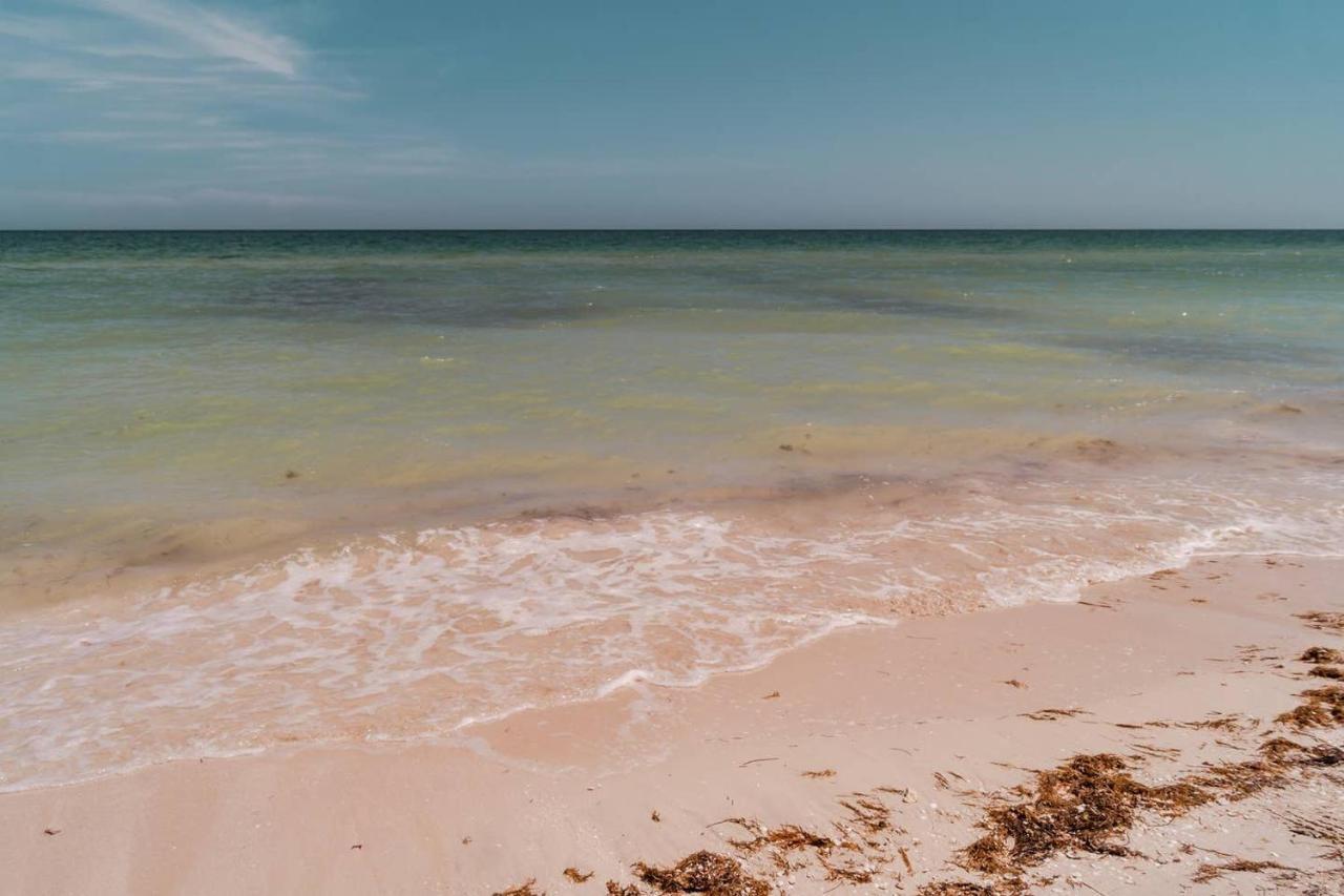 Luxury Condo, The Hidden Gem Playa Chaca. Live It! Progreso  Εξωτερικό φωτογραφία
